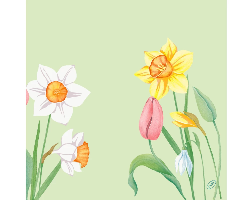Duni Papierservietten Spring Melody 40 cm x 40 cm, 50 Stück
