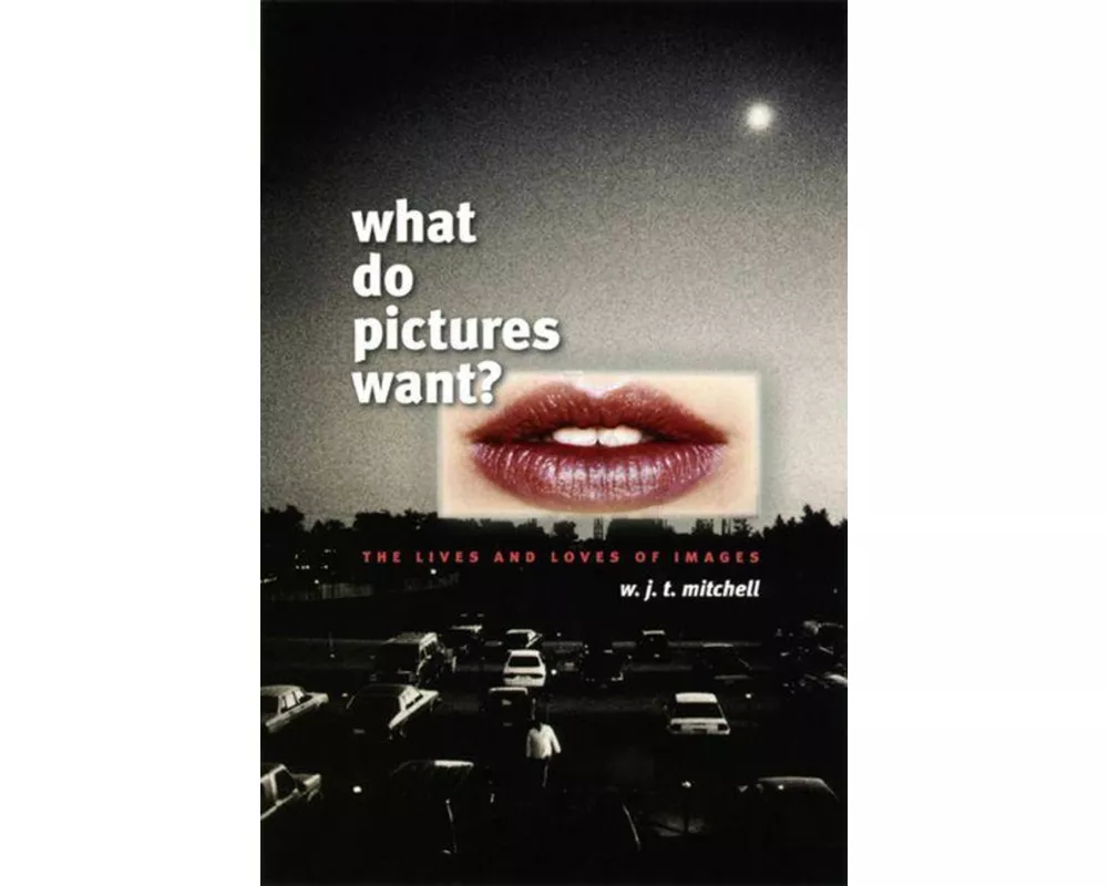 What Do Pictures Want?