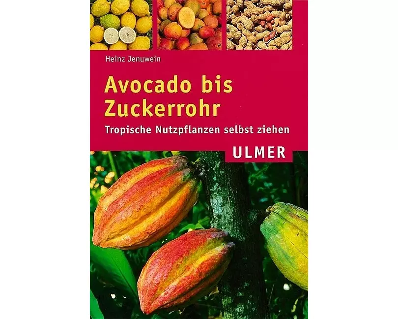 Avocado bis Zuckerrohr