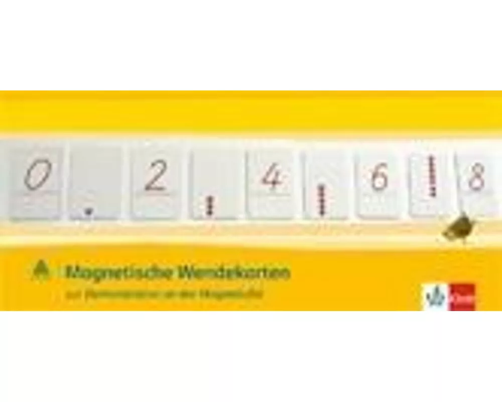 Wendekarten für Lehrer magnetisch SAS 1