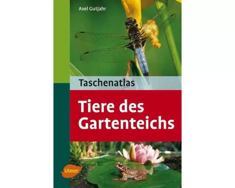 Tiere des Gartenteichs