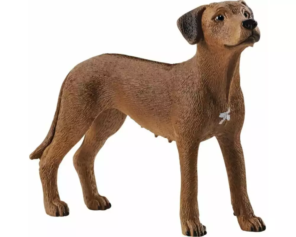 Schleich Spielzeugfigur Farm World Rhodesian Ridgeback