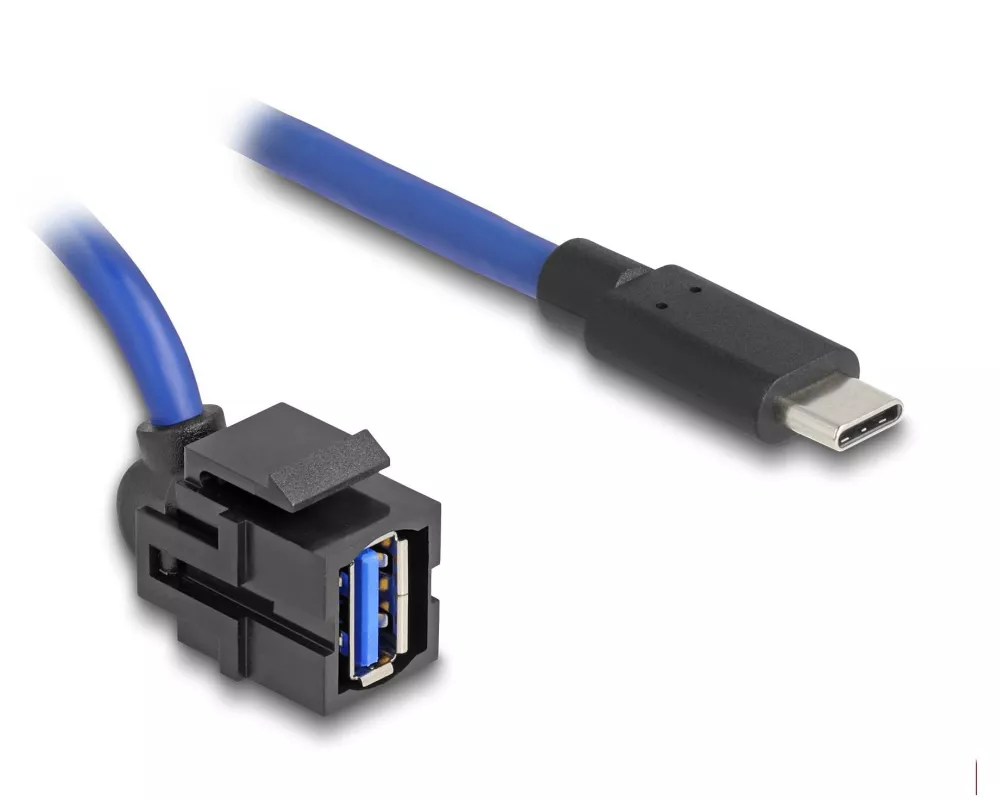 Delock Keystone-Modul USB 5 Gbps A zu USB Type-C