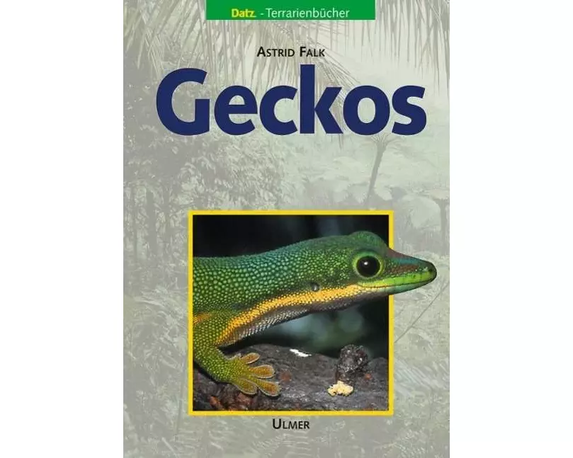 Geckos