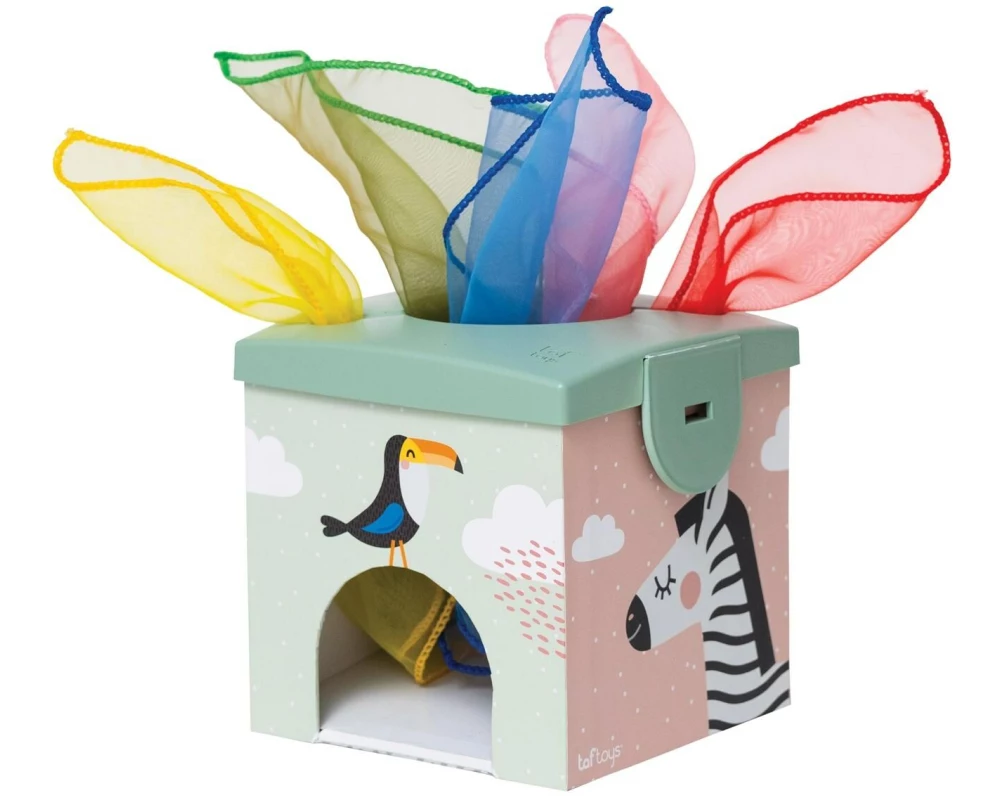 TAF-TOYS Aktivitätenspielzeug Magic Box 12M+