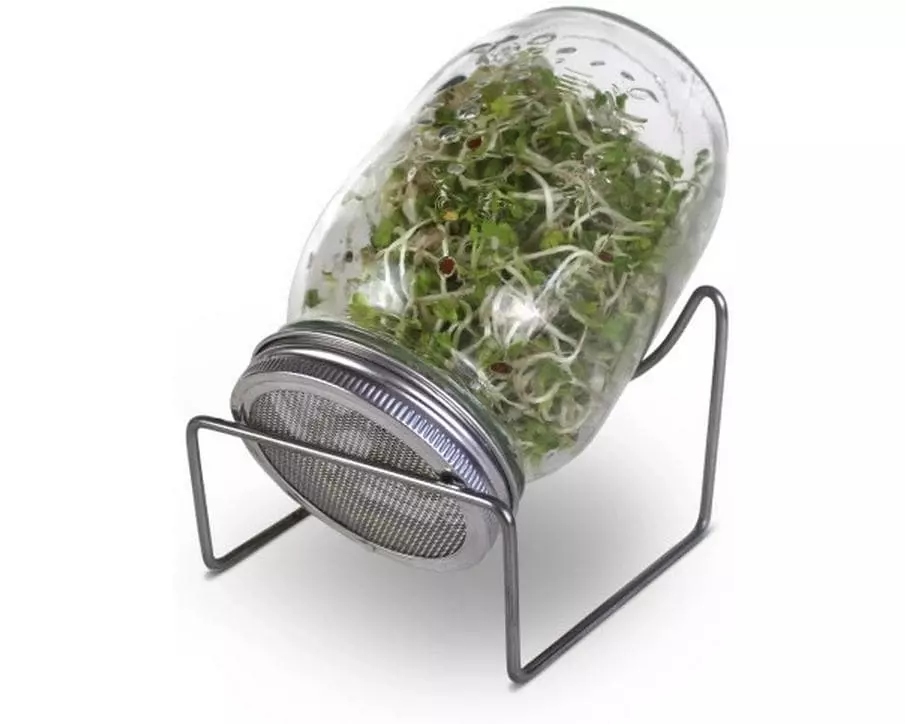 Samen Mauser Sprossenglas 750 ml