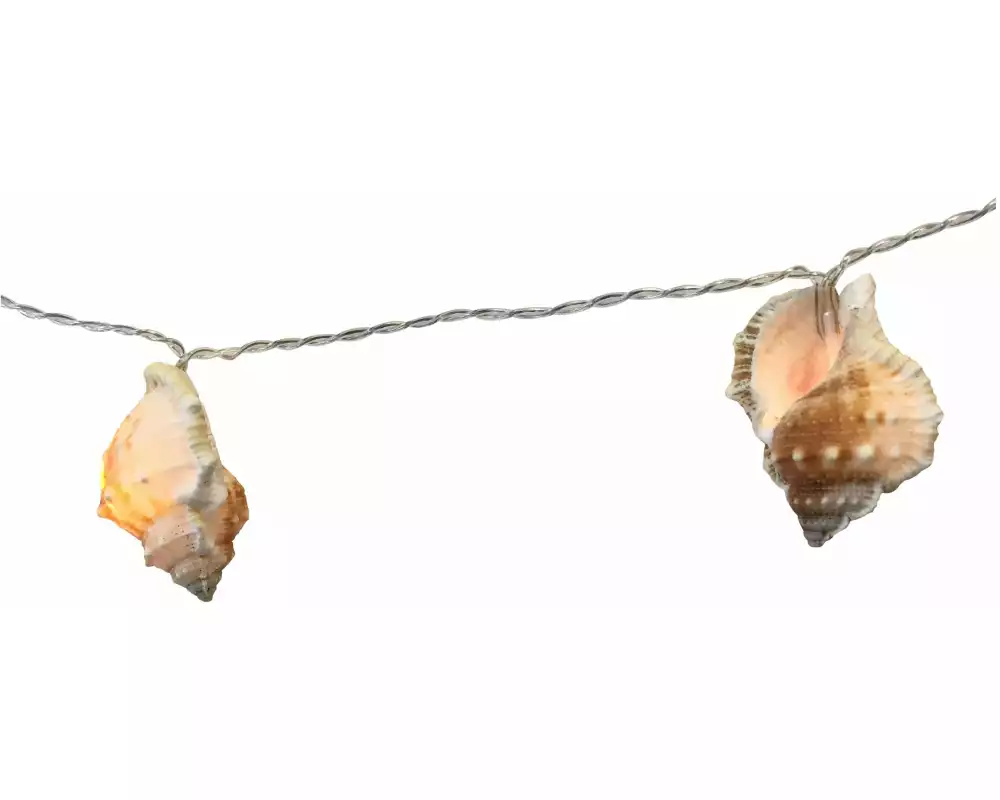 Dameco Lichterkette Maritim Muschel