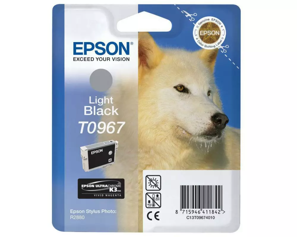 Epson Tinte C13T09674010 Black