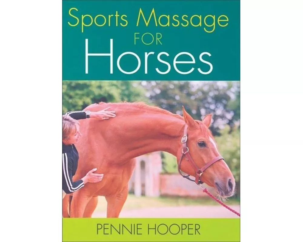 Sports Massage for Horses