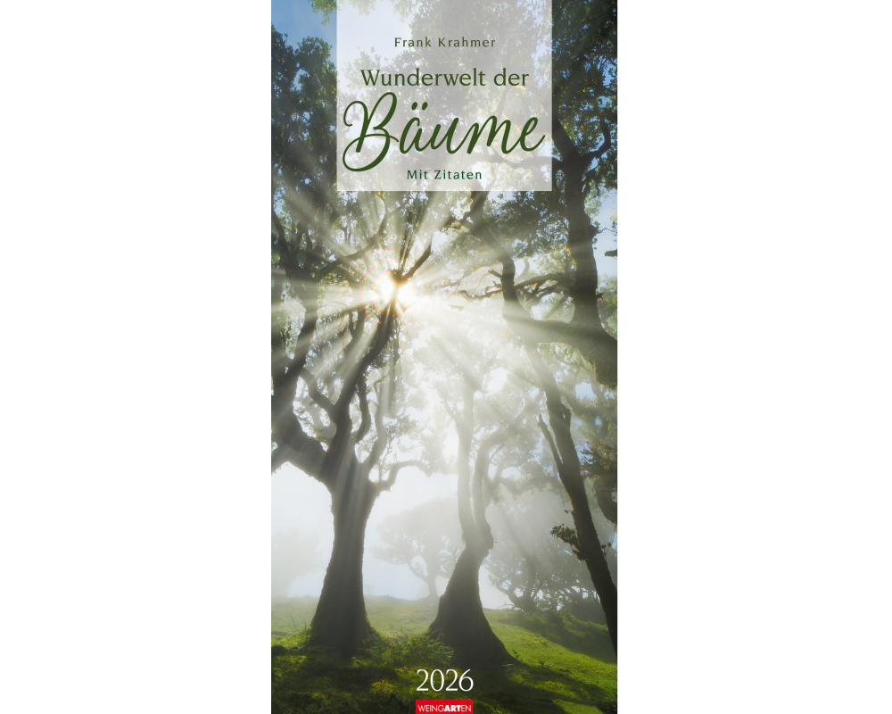 WEINGARTEN Bildkalender 2026 2958600+26 Wunderwelt Bäume DE 33x68cm