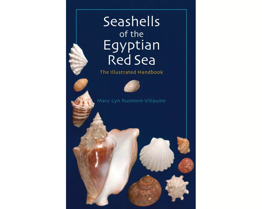 Seashells of the Egyptian Red Sea