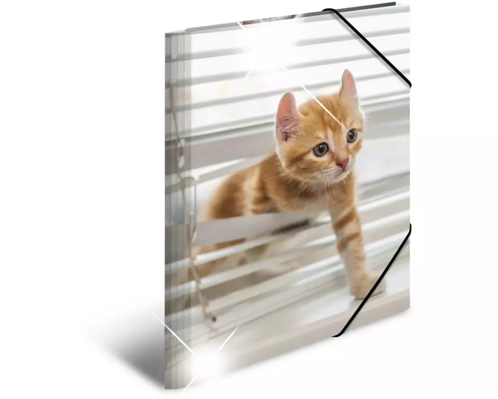HERMA Gummibandmappe A3 Katzen, Polypropylen, mit Innendruck