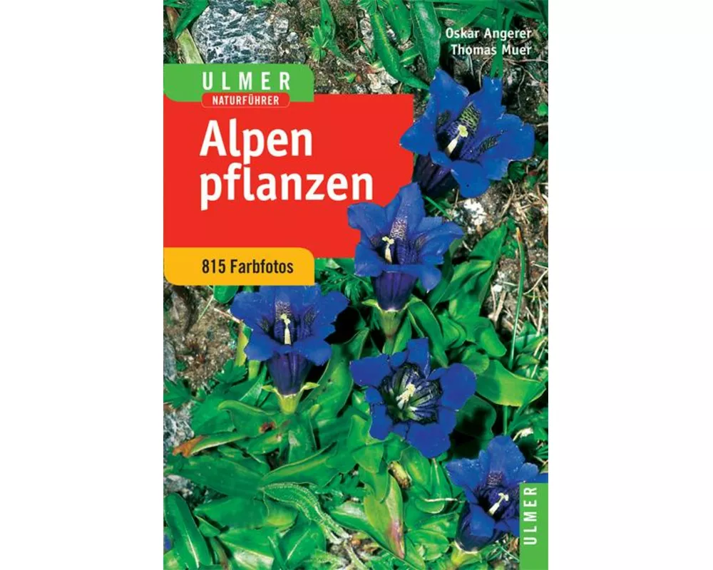 Ulmer Naturführer Alpenpflanzen