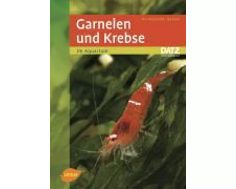 Garnelen und Krebse