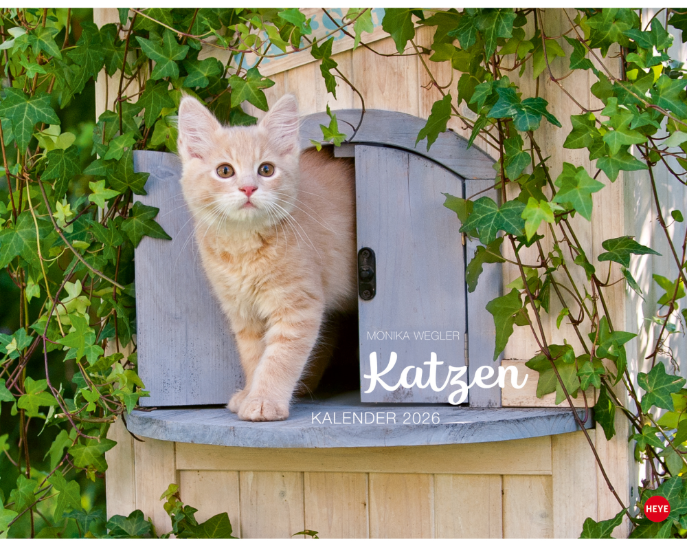 HEYE Bildkalender 2026 23165+26 Wegler Katzen DE 44x34cm