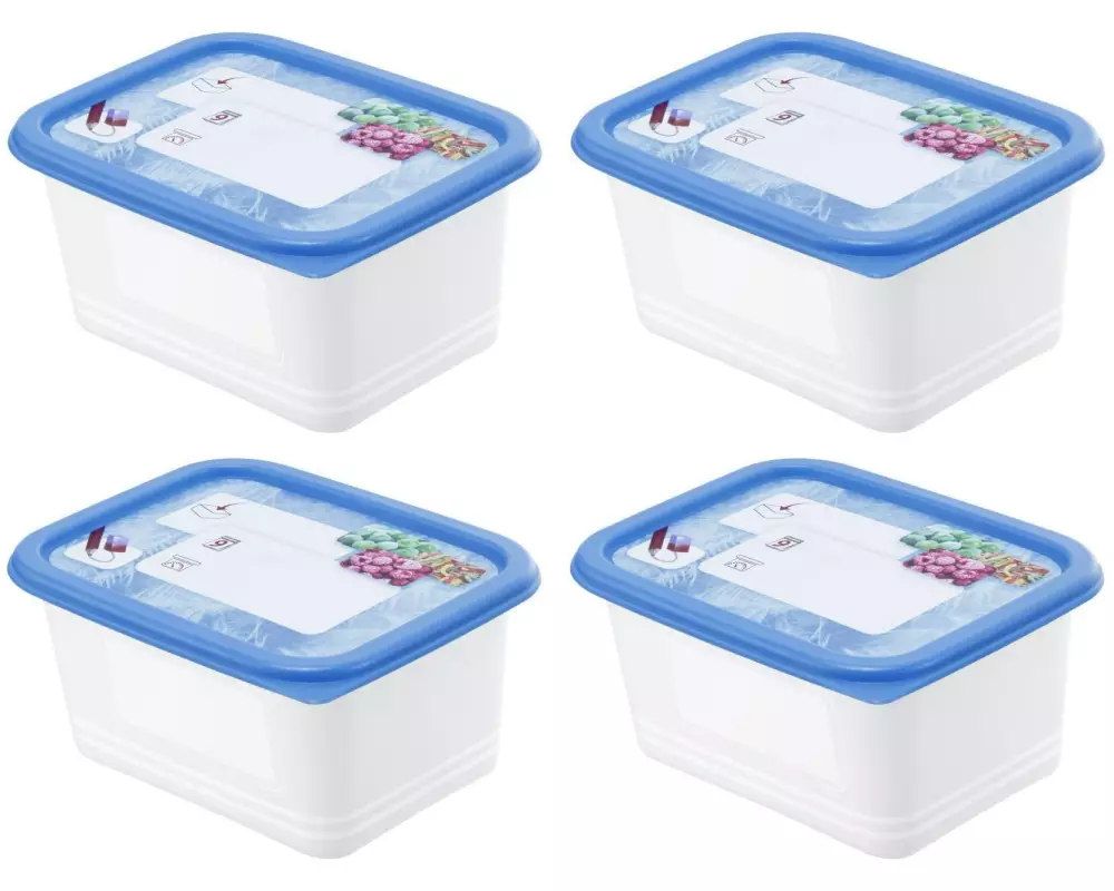 Rotho Vorratsbehälter Domino Dekor 4 Stück, 0.75 l, Transparent