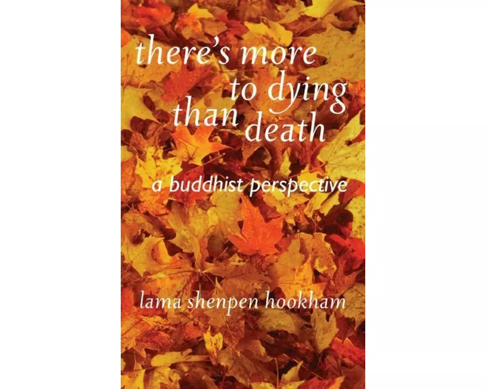 There's More to Dying Than Death: A Buddhist Perspective
