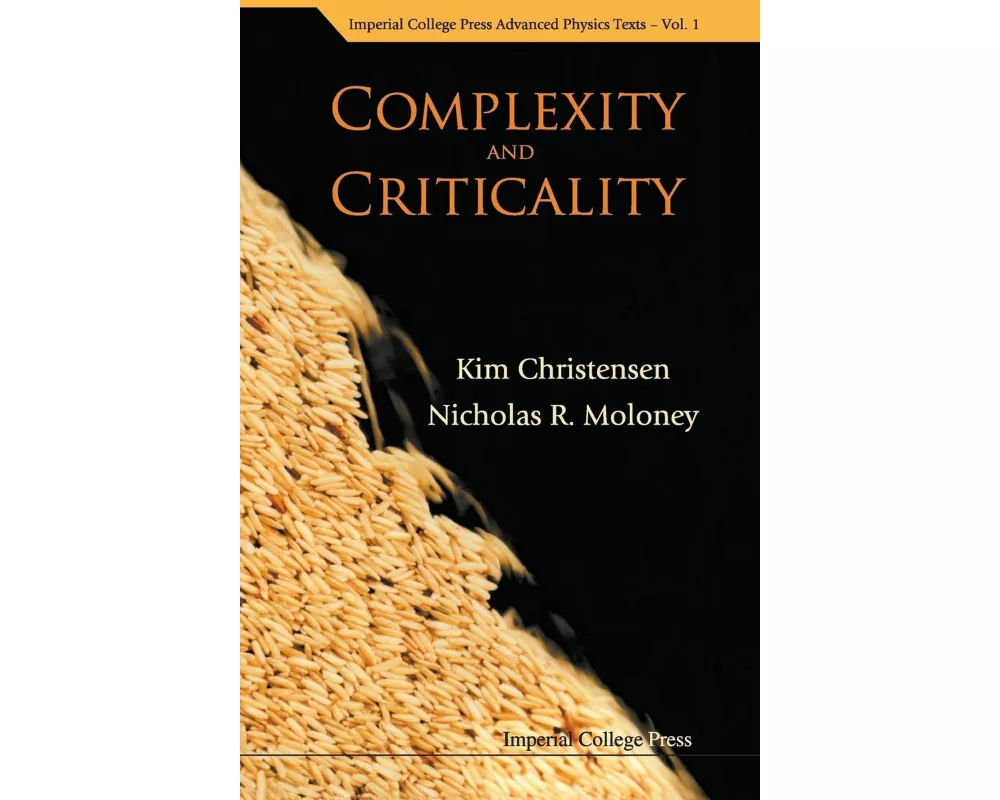 Complexity And Criticality