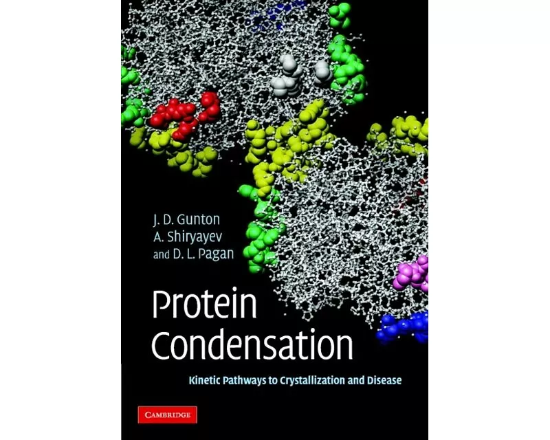 Protein Condensation
