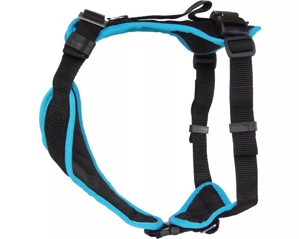 Grossenbacher Welpengeschirr Popp-it, Türkis