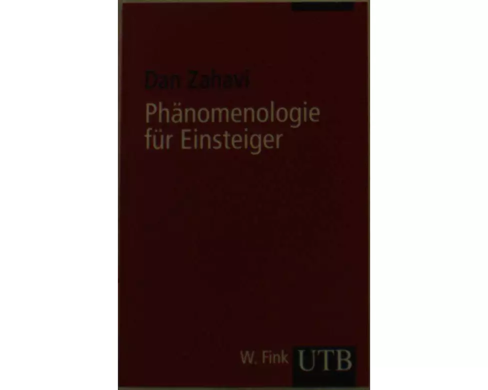 Phänomenologie für Einsteiger