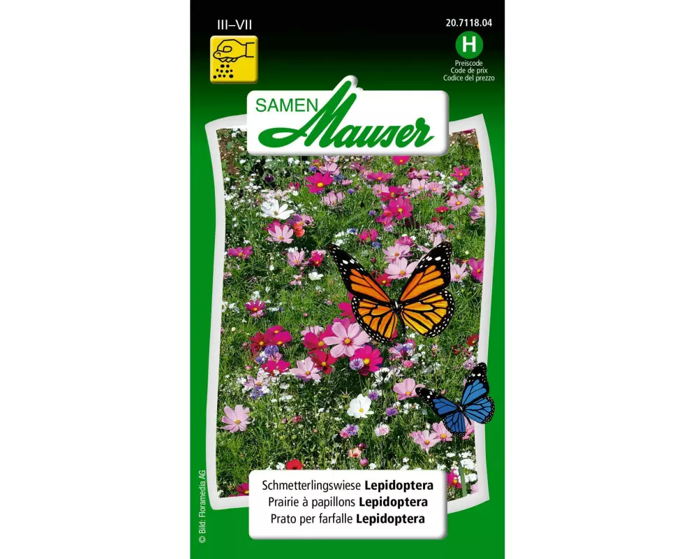 Samen Mauser Saatgut Schmetterlingswiese Lepidoptera