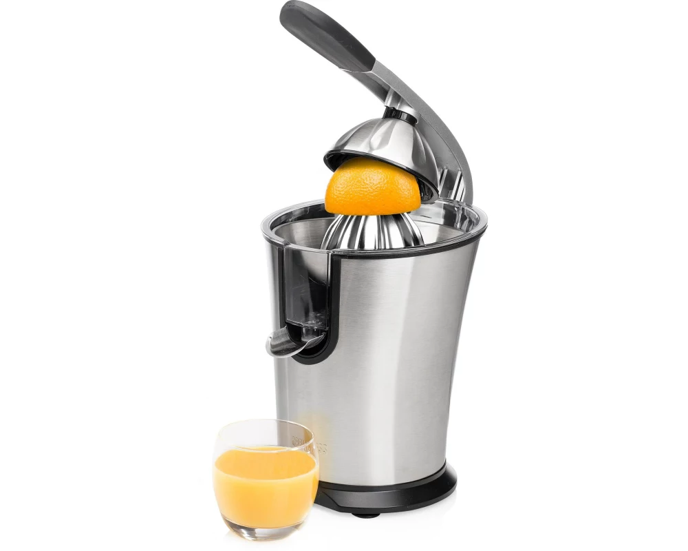 Princess Saftpresse 201860 Master Juicer Pro Schwarz/Silber