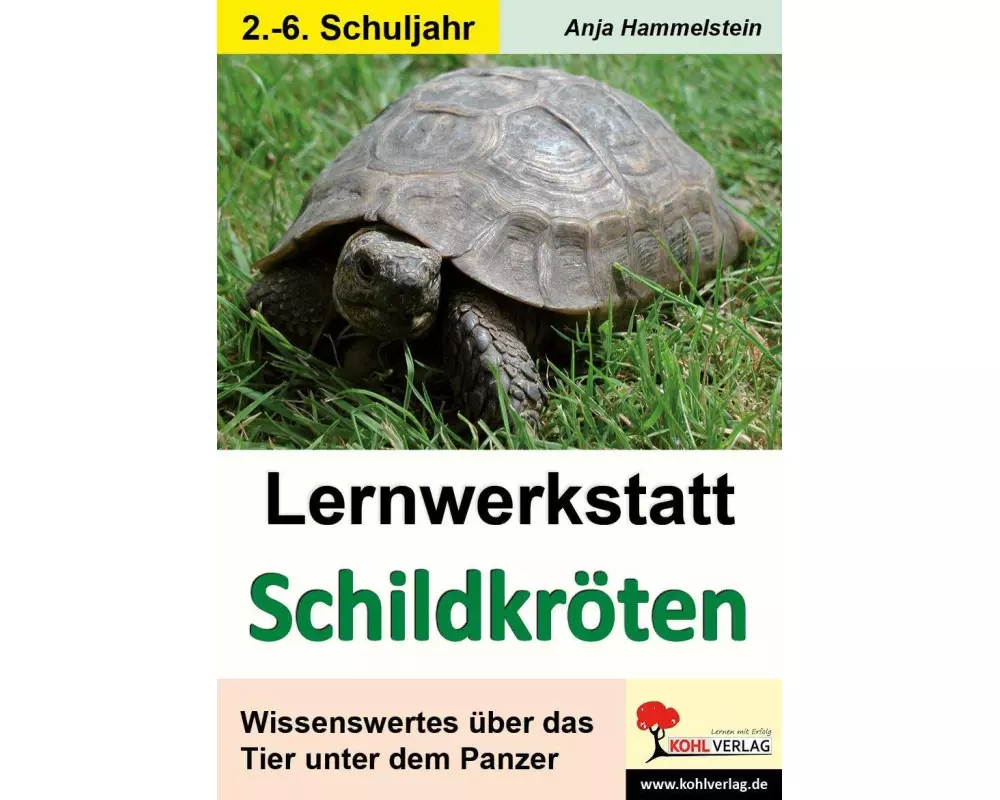 Lernwerkstatt Schildkröten