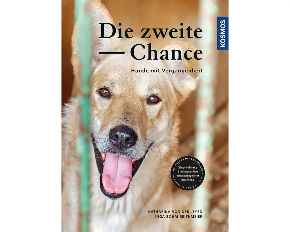Die zweite Chance