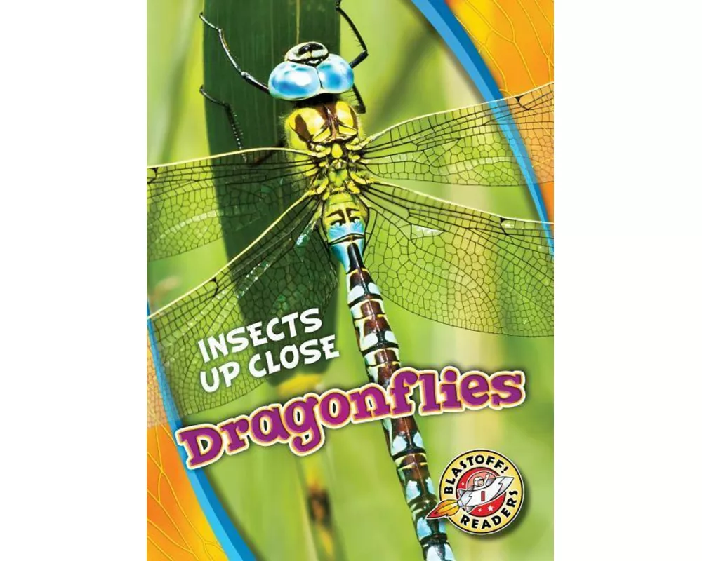 Dragonflies