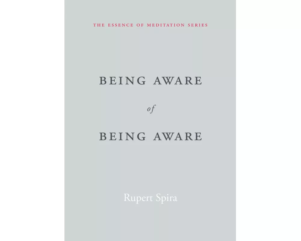 Being Aware of Being Aware