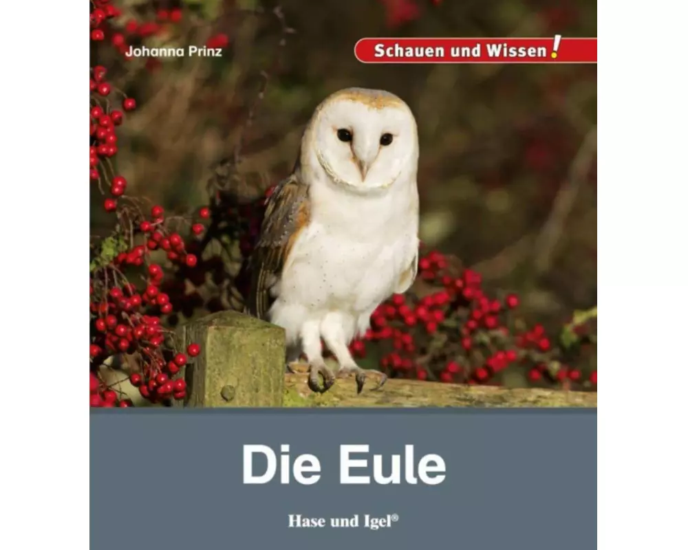 Die Eule