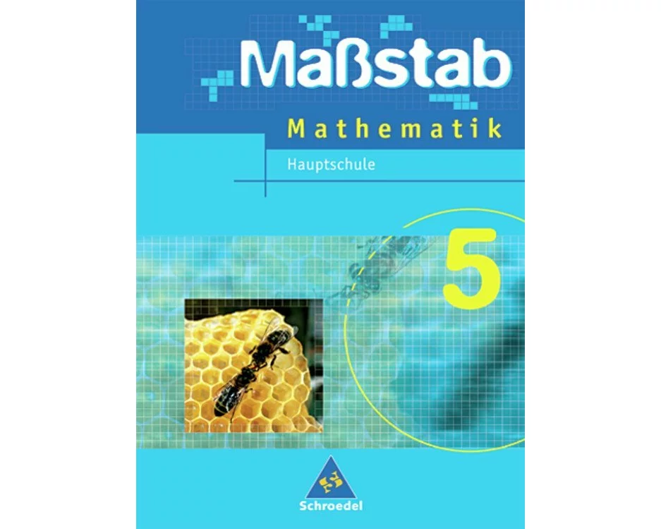 Maßstab - Mathematik für Hauptschulen in Niedersachsen - Ausgabe 2005