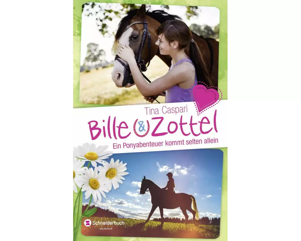 Bille und Zottel - Ein Ponyabenteuer kommt selten allein