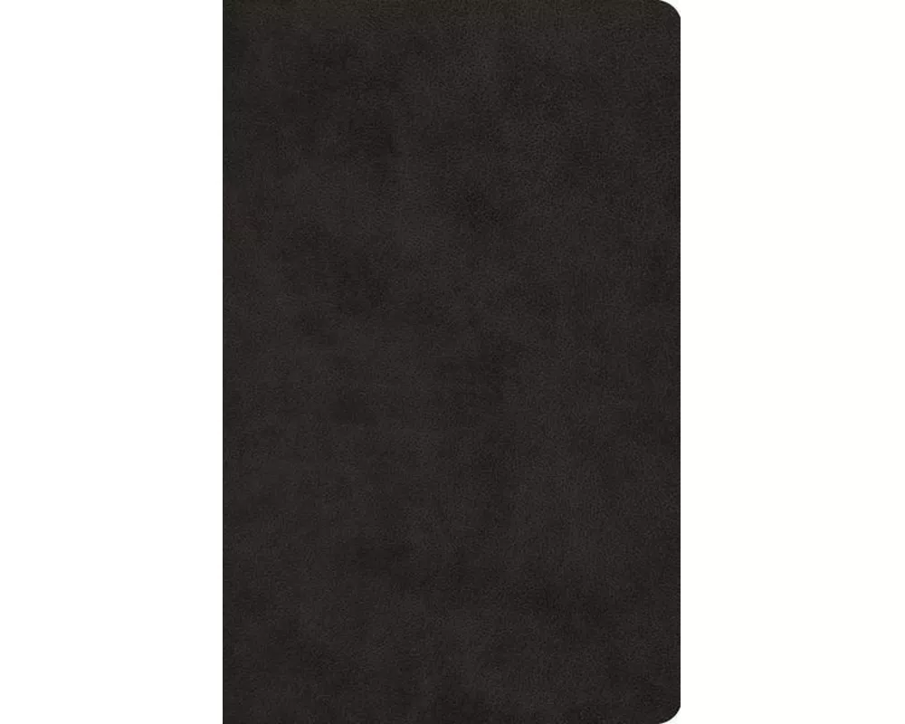 ESV Large Print Value Thinline Bible