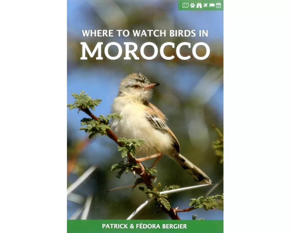 Where to Watch Birds in Morocco