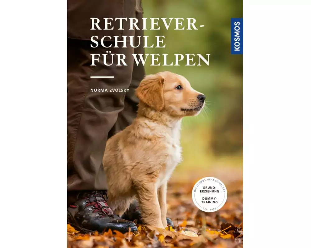 Retrieverschule für Welpen