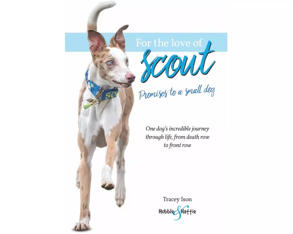 For the Love of Scout
