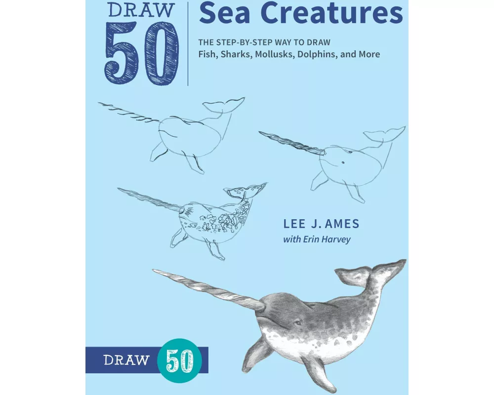 Draw 50 Sea Creatures