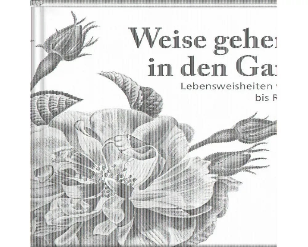 Weise gehen in den Garten