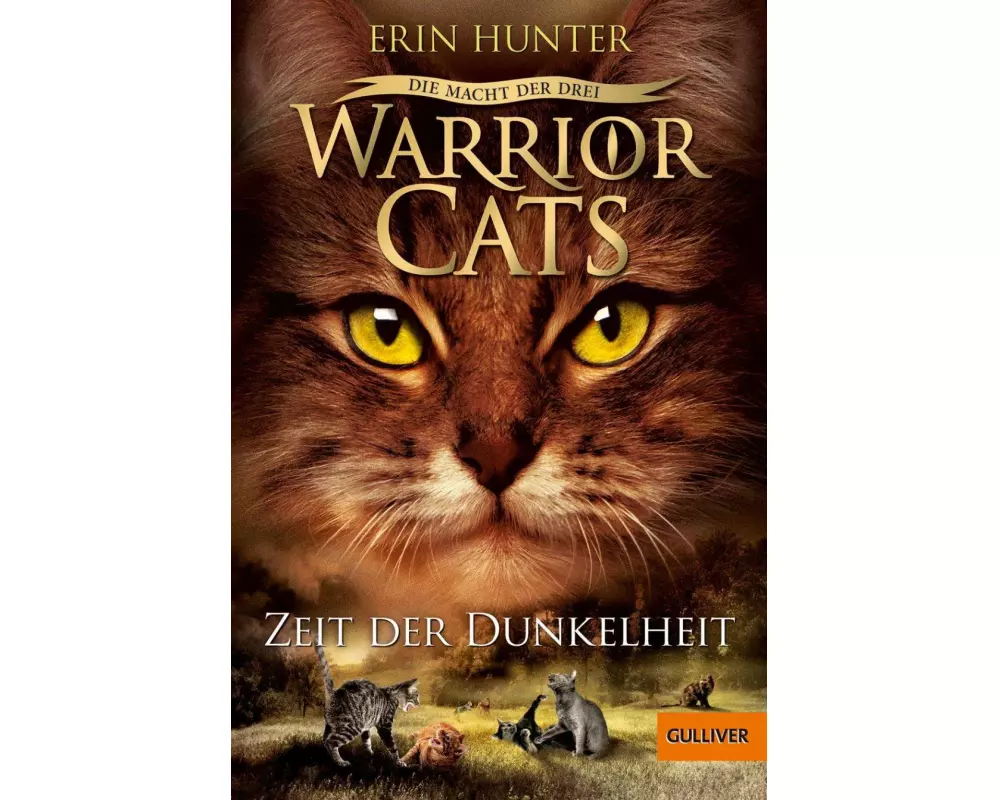Warrior Cats - Die Macht der drei. Zeit der Dunkelheit