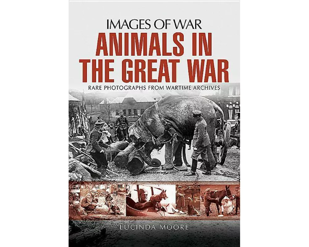 Animals in the Great War