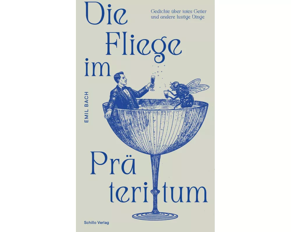 Die Fliege im Präteritum