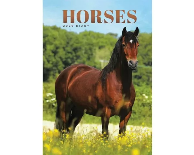 Horses A5 Diary 2026