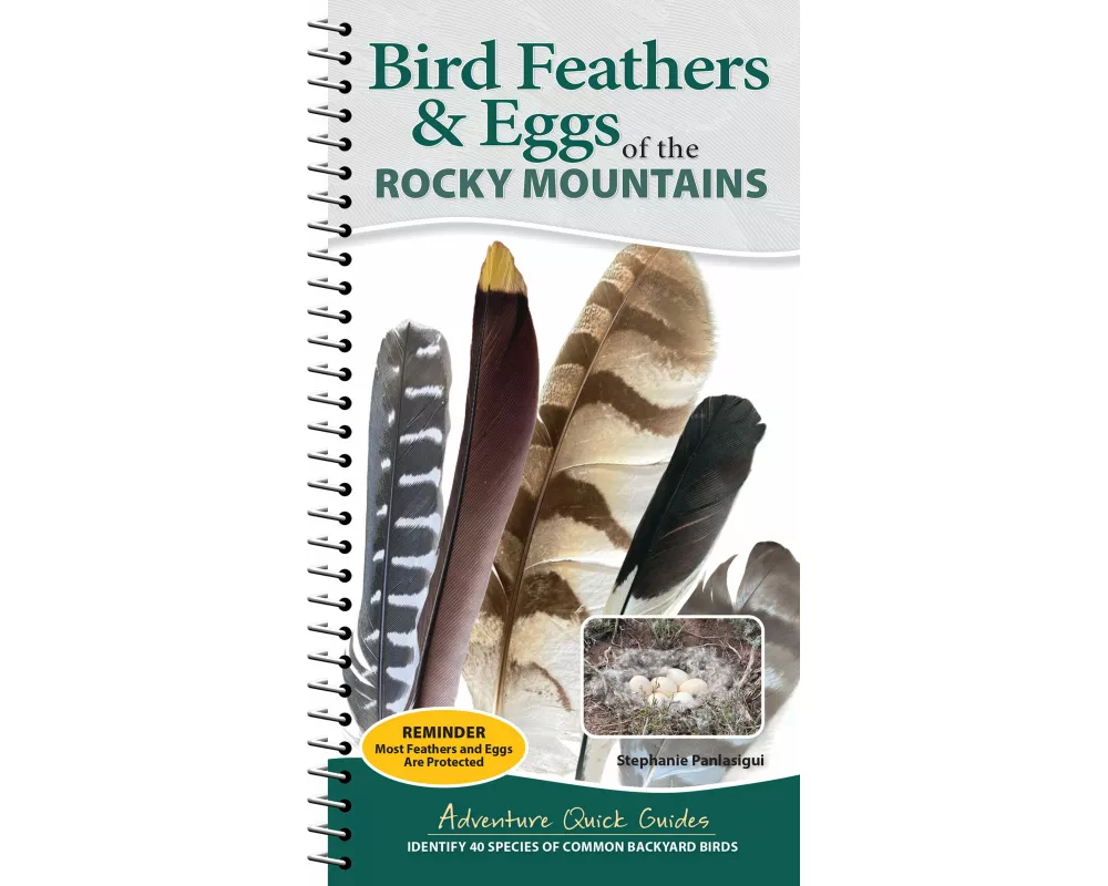 Bird Feathers & Eggs of the Rocky Mountains