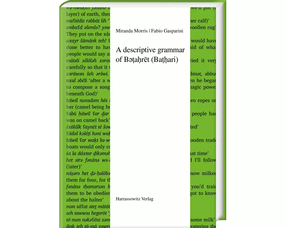 A descriptive grammar of B¿¿a¿r¿t (Ba¿¿ari)