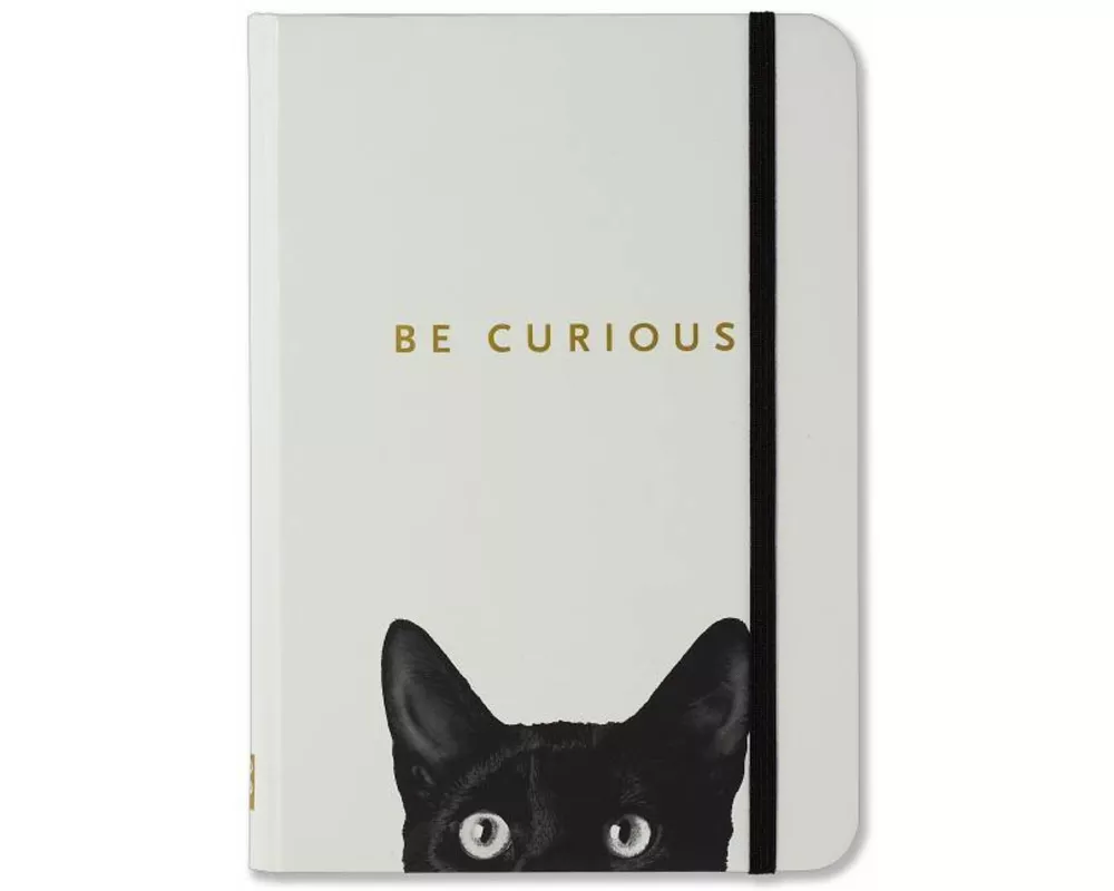 Sm Curious Cat Journal