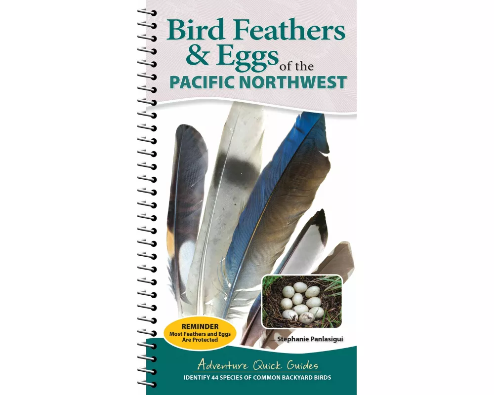 Bird Feathers & Eggs of the Pacific Northwest