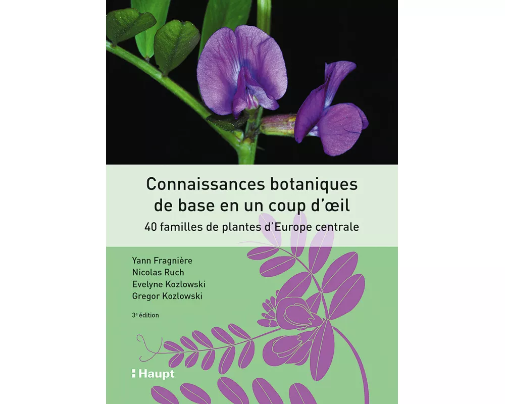 Connaissances botaniques de base en un coup d'oeil