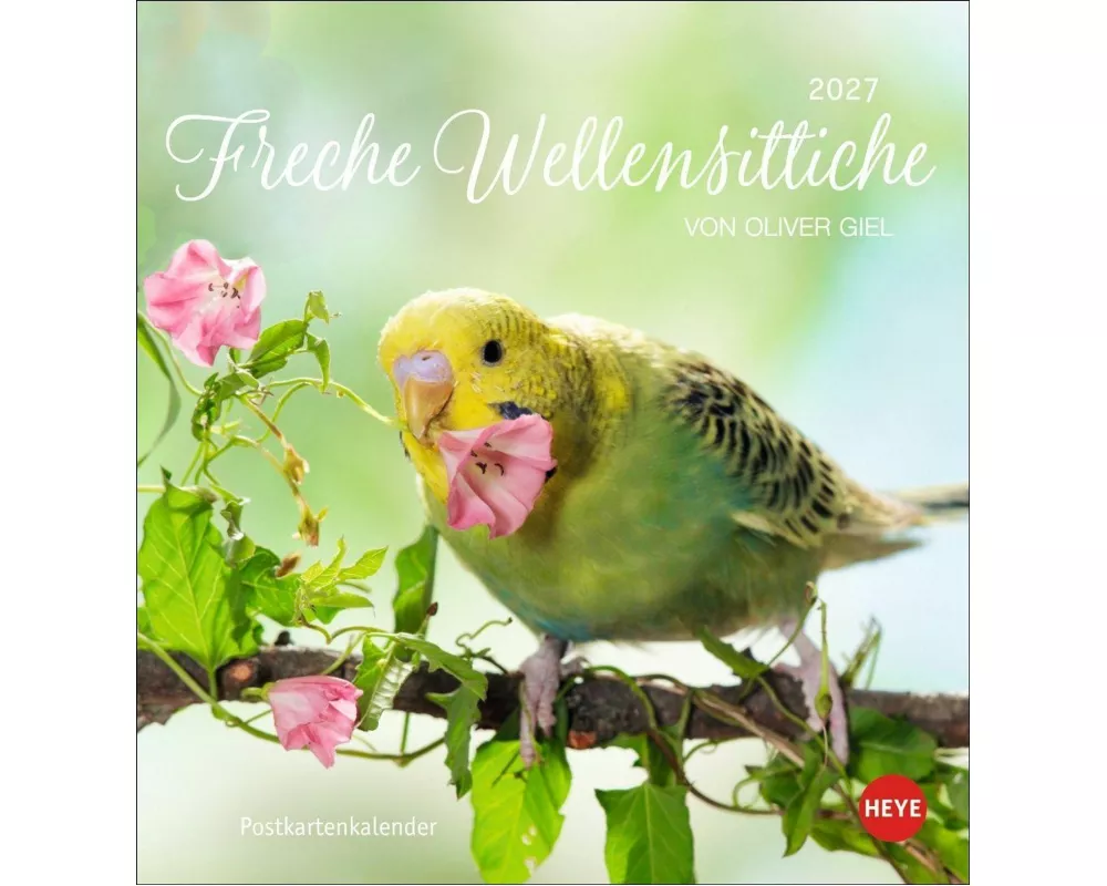 Freche Wellensittiche Postkartenkalender 2027